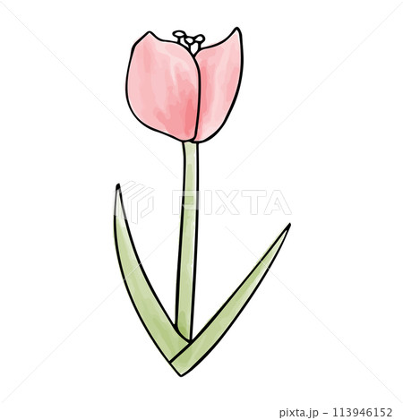 Flower watercolor doodle element. Vector illustration. Flower watercolor doodle element. Vector illustration. 113946152