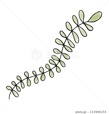 Green leaf watercolor doodle element. Vector illustration. Green leaf watercolor doodle element. Vector illustration. 113946154