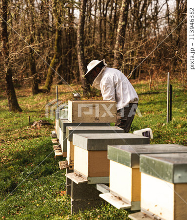 Caring for the hives Caring for the hives 113946382