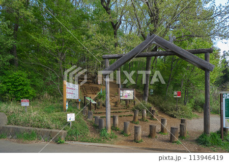新緑の狭山丘陵にある野山北公園のあそびの森入口の坂 113946419