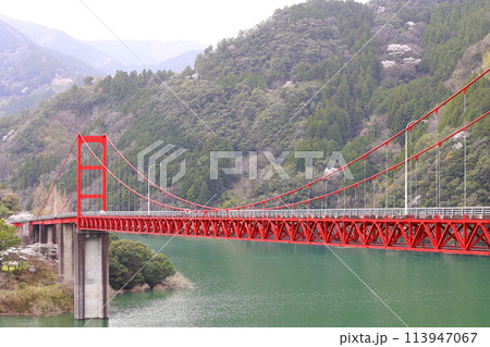 高知県　大渡ダム大橋 113947067