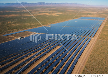 Solar Farm in Desert Landscape 113947148