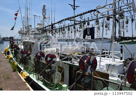イカ釣り漁船 山形県庄内浜 イカ釣り漁船 山形県庄内浜 113947502