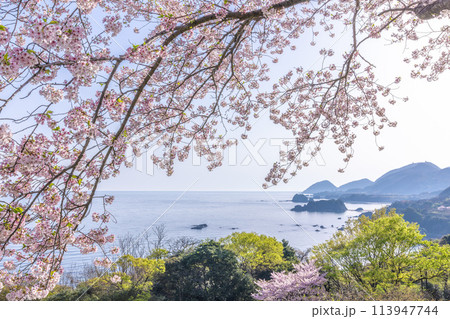 春の丹後松島 113947744