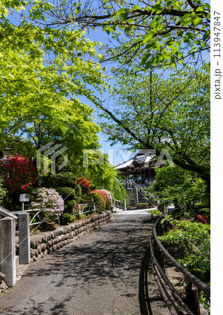 高崎市の観音山　慈眼院への裏参道 113947847