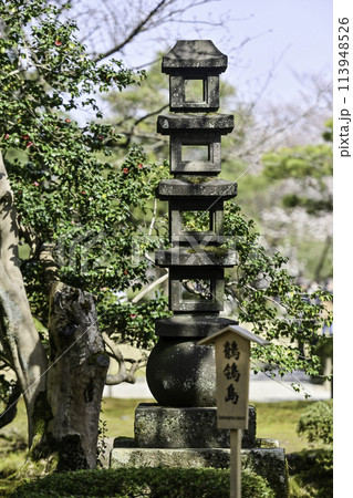 桜が満開の兼六園の春 113948526
