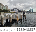 Sydney's harbour foreshore set against the famous Sydney Harbour bridge on a cloudy overcast day 113948837