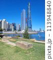 Barangaroo Reserve set against the CBD skyscrapers in Sydney, Australia on a bright sunny day 113948840