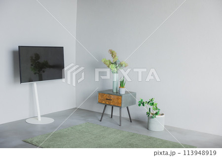 リビング リビング 113948919