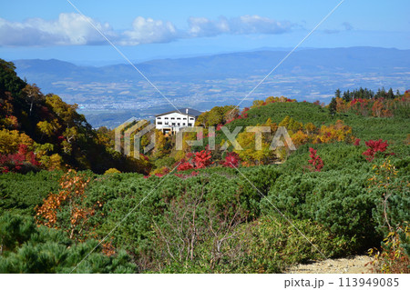 十勝岳登山道より十勝岳温泉郷の紅葉 十勝岳登山道より十勝岳温泉郷の紅葉 113949085