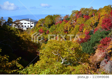 十勝岳砂防ダムより十勝岳温泉郷の紅葉 113949086