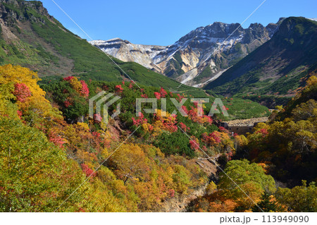 十勝岳温泉郷の紅葉 113949090