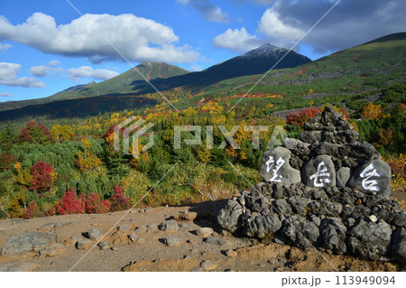 望岳台の紅葉と美瑛岳美瑛富士 113949094