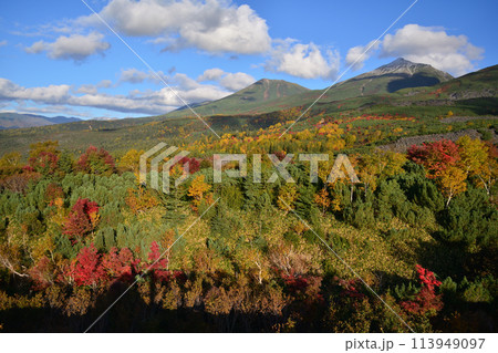 望岳台の紅葉と美瑛岳美瑛富士 望岳台の紅葉と美瑛岳美瑛富士 113949097