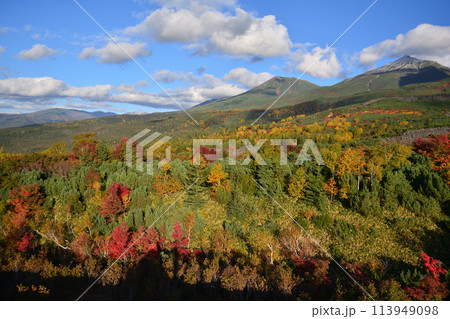 望岳台の紅葉と美瑛岳美瑛富士 113949098