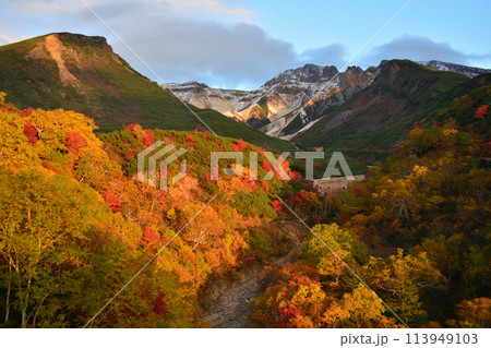 十勝岳温泉郷の紅葉 113949103