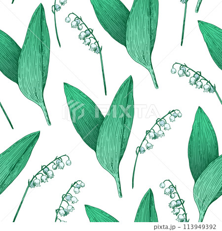 Seamless pattern with lilly of the valley flowers. Vector illustration in retro etching style. 113949392