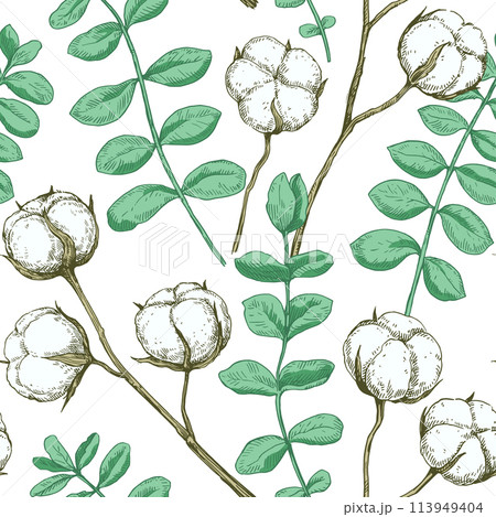 Seamless pattern with cotton and eucalyptus branches. Vector illustration in retro detailed style. Seamless pattern with cotton and eucalyptus branches. Vector illustration in retro detailed style. 113949404