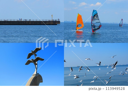 海辺のコラージュ 海辺のコラージュ 113949528