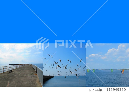 海辺のコラージュ 海辺のコラージュ 113949530