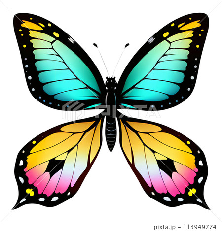 Colorful butterfly clipart for decoration.  113949774