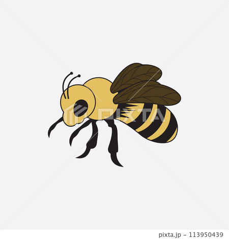 bee logo vector illustration design icon logo 113950439