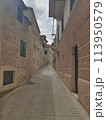 Narrow street with stone houses. Old houses and old narrow alley in Croatia. Streets in old town. 113950579