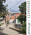 Narrow street with stone houses. Old houses and old narrow alley in Croatia. Streets in old town. 113950585