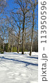 Winter cityscape in the snowy park. Moscow Botanical garden. 113950596