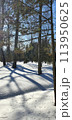 Winter cityscape in the snowy park. Moscow Botanical garden. 113950625