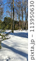 Winter cityscape in the snowy park. Moscow Botanical garden. 113950630