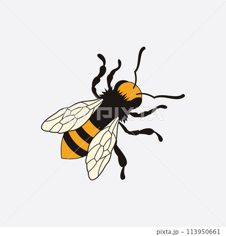 bee logo illustrations design icon bee logo illustrations design icon 113950661