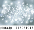 キラキラ玉ボケバック・背景 シルバー 113951013