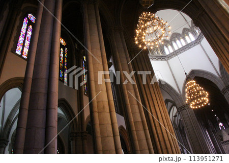 サンパウロ市にあるセー大聖堂 ブラジル サンパウロ市にあるセー大聖堂 ブラジル 113951271
