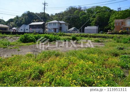 まもなく住宅が建つ休耕田の今は まもなく住宅が建つ休耕田の今は 113951311