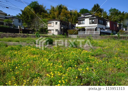 まもなく住宅が建つ休耕田の今は まもなく住宅が建つ休耕田の今は 113951313