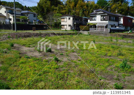 まもなく住宅が建つ休耕田の今は まもなく住宅が建つ休耕田の今は 113951345