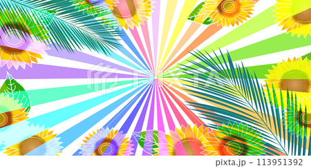 ひまわり 夏 花 太陽 背景 ひまわり 夏 花 太陽 背景 113951392