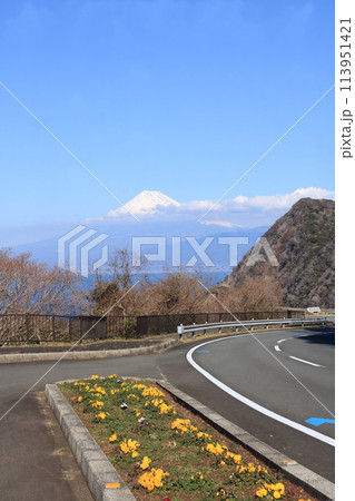 早春の静かな富士山と伊豆 早春の静かな富士山と伊豆 113951421