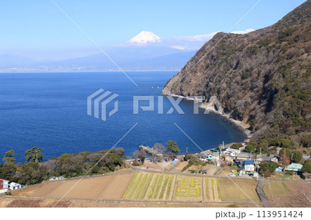井田から望む駿河湾と駿河港 113951424