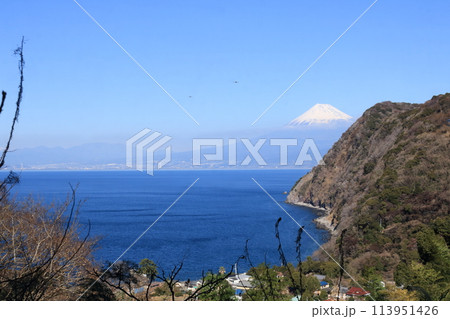 さった峠からの駿河湾越しに見える冬の富士山 さった峠からの駿河湾越しに見える冬の富士山 113951426