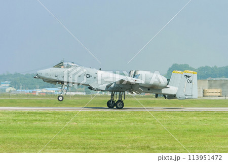 アメリカ空軍A-10AサンダーボルトⅡ着陸 113951472