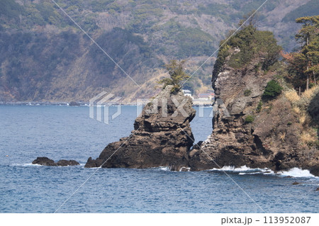 奇岩がある海の風景 奇岩がある海の風景 113952087