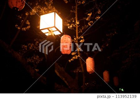 千葉城さくら祭り 113952139