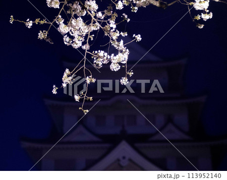 千葉城さくら祭り 113952140