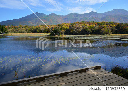 知床五湖(二湖)より知床連山 113952220