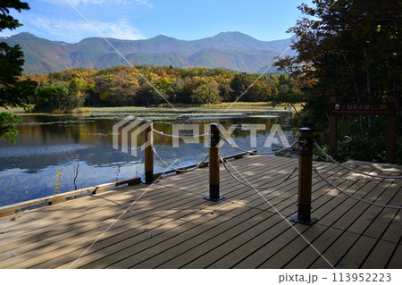 知床五湖(二湖)より知床連山 知床五湖(二湖)より知床連山 113952223