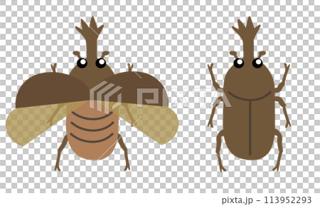 Set of beetles 113952293