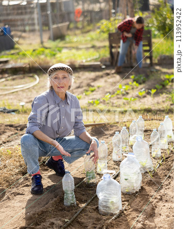 Mature woman farmer sets up plastic bottles to protect plants from harmful insects 113952422