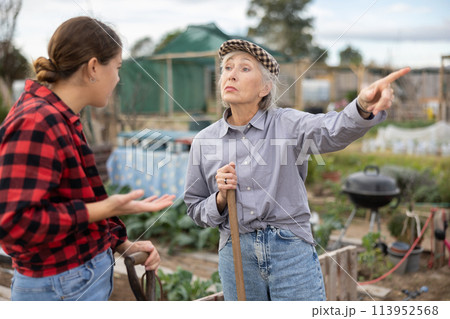 Farm neighbors quarrel over farm backyard in day Farm neighbors quarrel over farm backyard in day 113952568